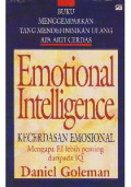 Emotional Intelligence : Kecerdasan Emosionl / Daniel Goleman