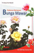 Pedoman Bertanam Bunga Mawar