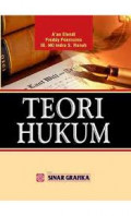 Teori hukum / A'an Efendi dkk