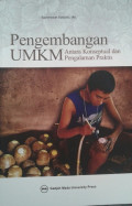 Pengembangan UMKM: antara konseptual dan pengalaman praktis