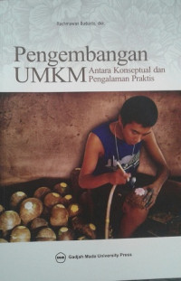 Pengembangan UMKM: antara konseptual dan pengalaman praktis