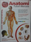 Anatomi Tubuh Manusia
