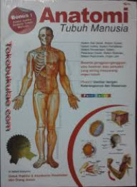 Anatomi Tubuh Manusia