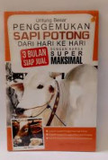 Untung Besar Penggemukan Sapi Potong dari Hari ke Hari Dengan Harga Super Maksimal: 3 bulan siap jual