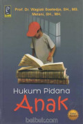 Hukum Pidana Anak (Edisi Revisi )